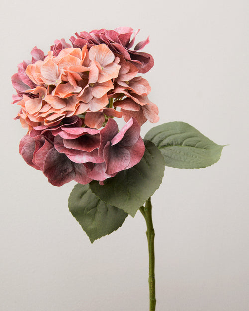 Närbild av konstgjord hortensia med tätt samlade blommor i dämpat rosa, aprikos och vinrött samt gröna blad.