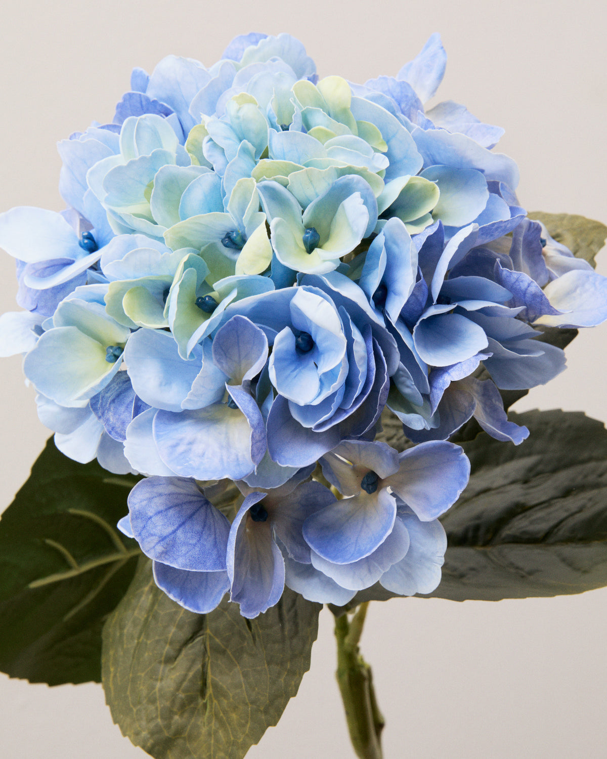 Närbild av konstgjord hortensia med täta blommor i ljusblå och himmelsblå nyanser, svagt gröna inslag och mörkgröna blad.