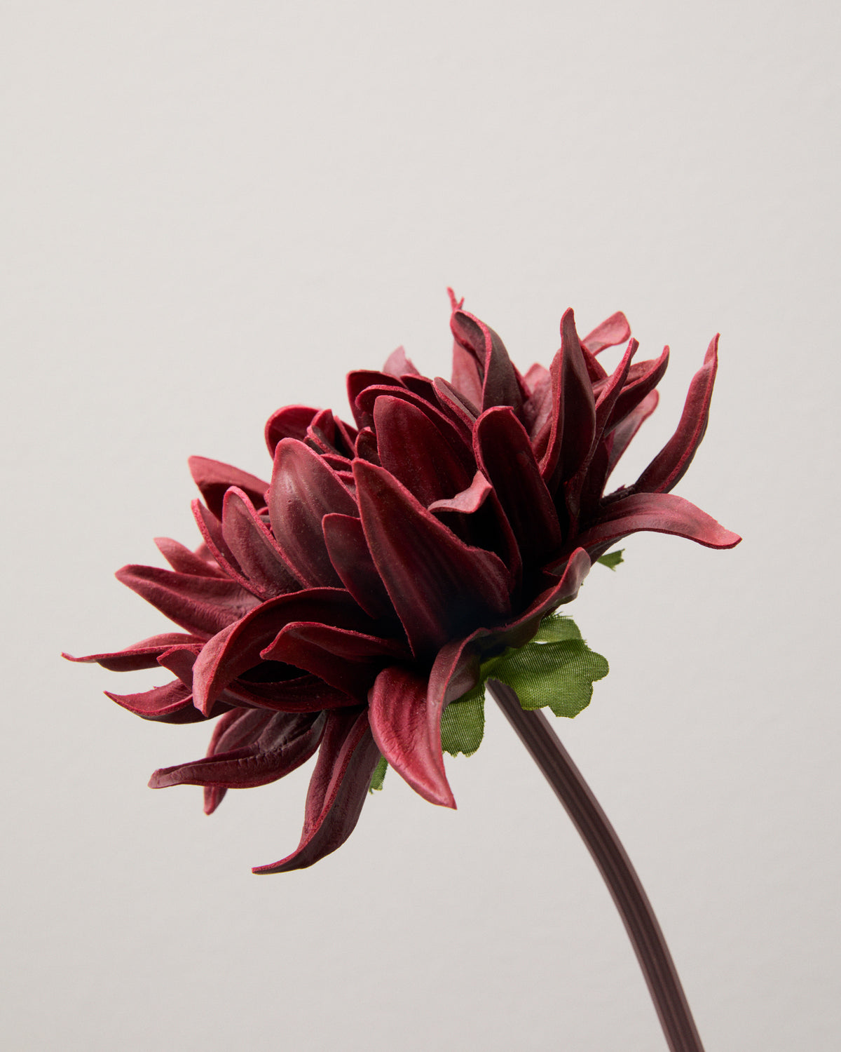 Närbild av konstgjord vinröd dahlia med smala, böjda kronblad i flera lager och gröna blad vid blommans bas.