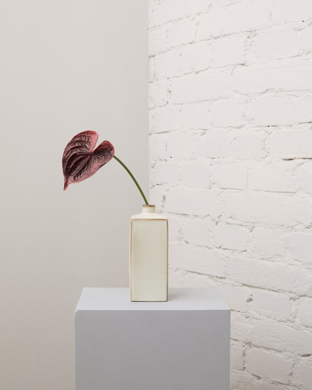 Konstgjord anthurium i burgundy med ett hjärtformat hölsterblad och en böjd grön stjälk i en smal, krämvit vas.