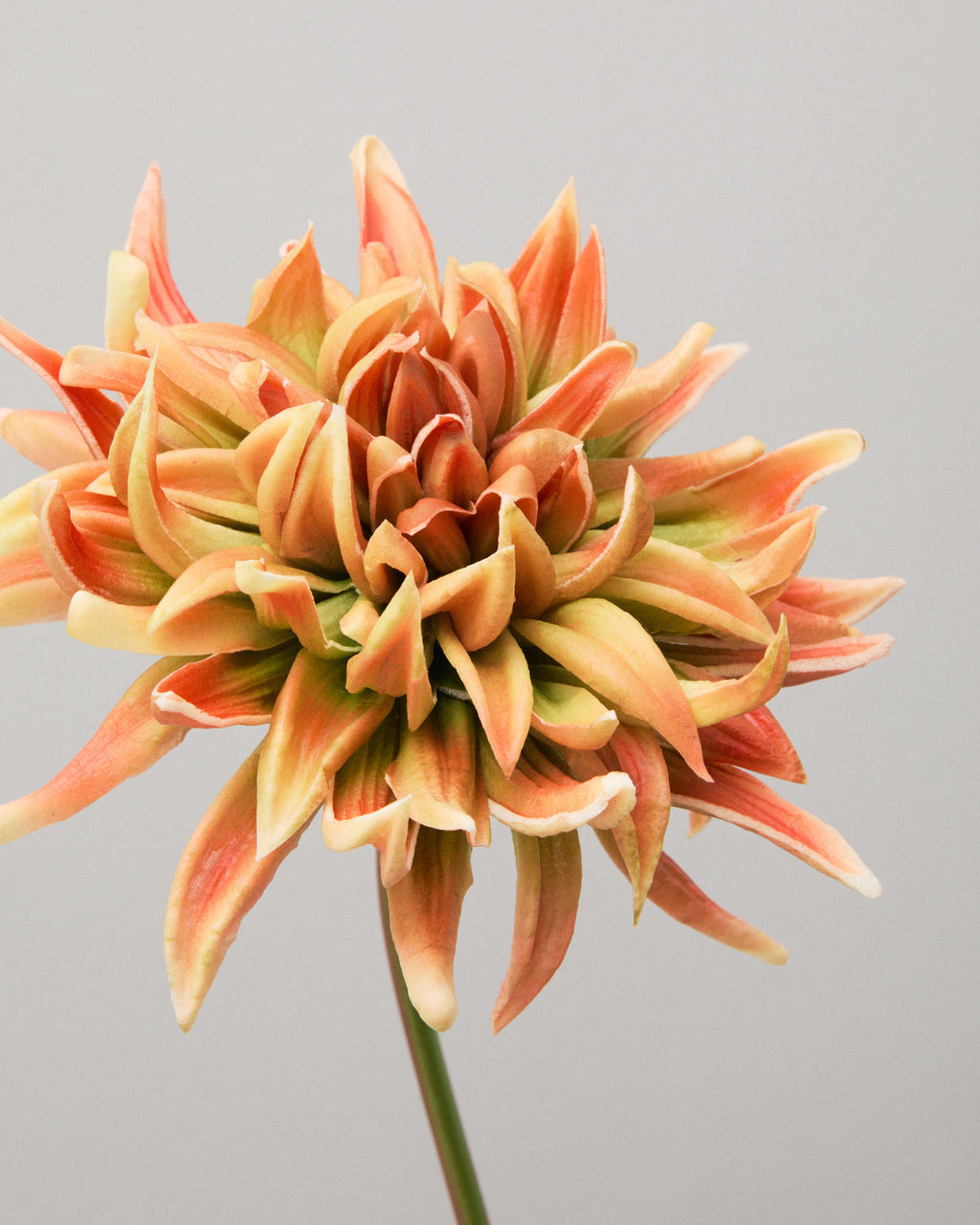 Närbild av konstgjord gyllene dahlia med smala, spetsiga kronblad i lager och skiftningar i orange, ockra och mjukt brunt.
