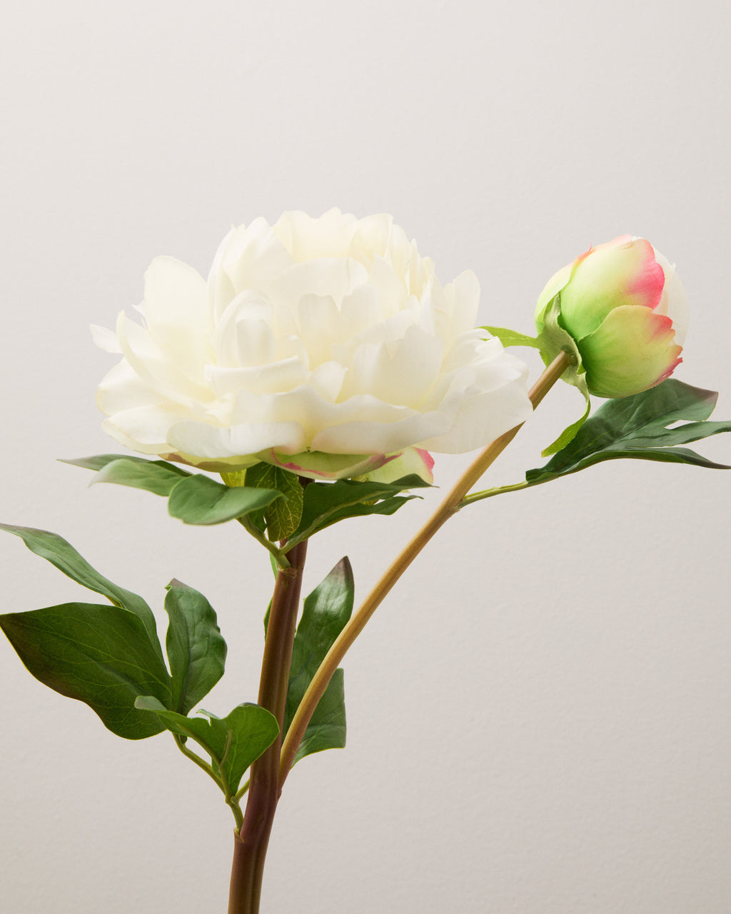 Konstgjord pion i krämvitt sedd från sidan, med en öppen blomma, en knopp med rosa skiftningar och gröna blad.