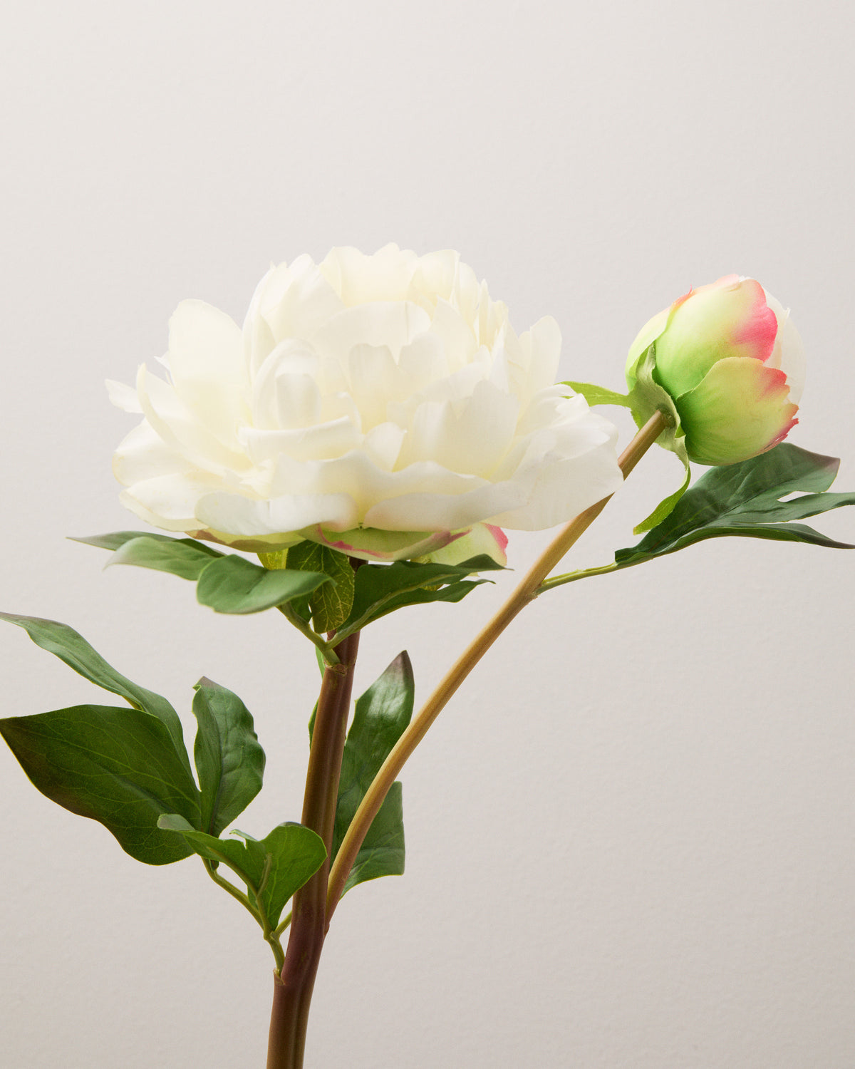 Konstgjord pion i krämvitt sedd från sidan, med en öppen blomma, en knopp med rosa skiftningar och gröna blad.