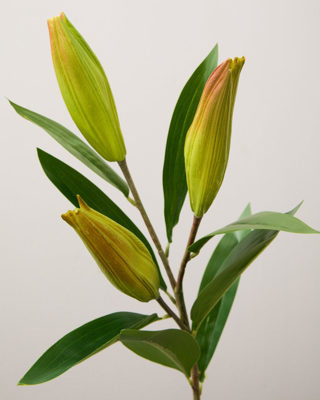 Närbild av konstgjord liljekvist med tre avlånga, gulgröna knoppar med svagt rosa spetsar och långsmala gröna blad.