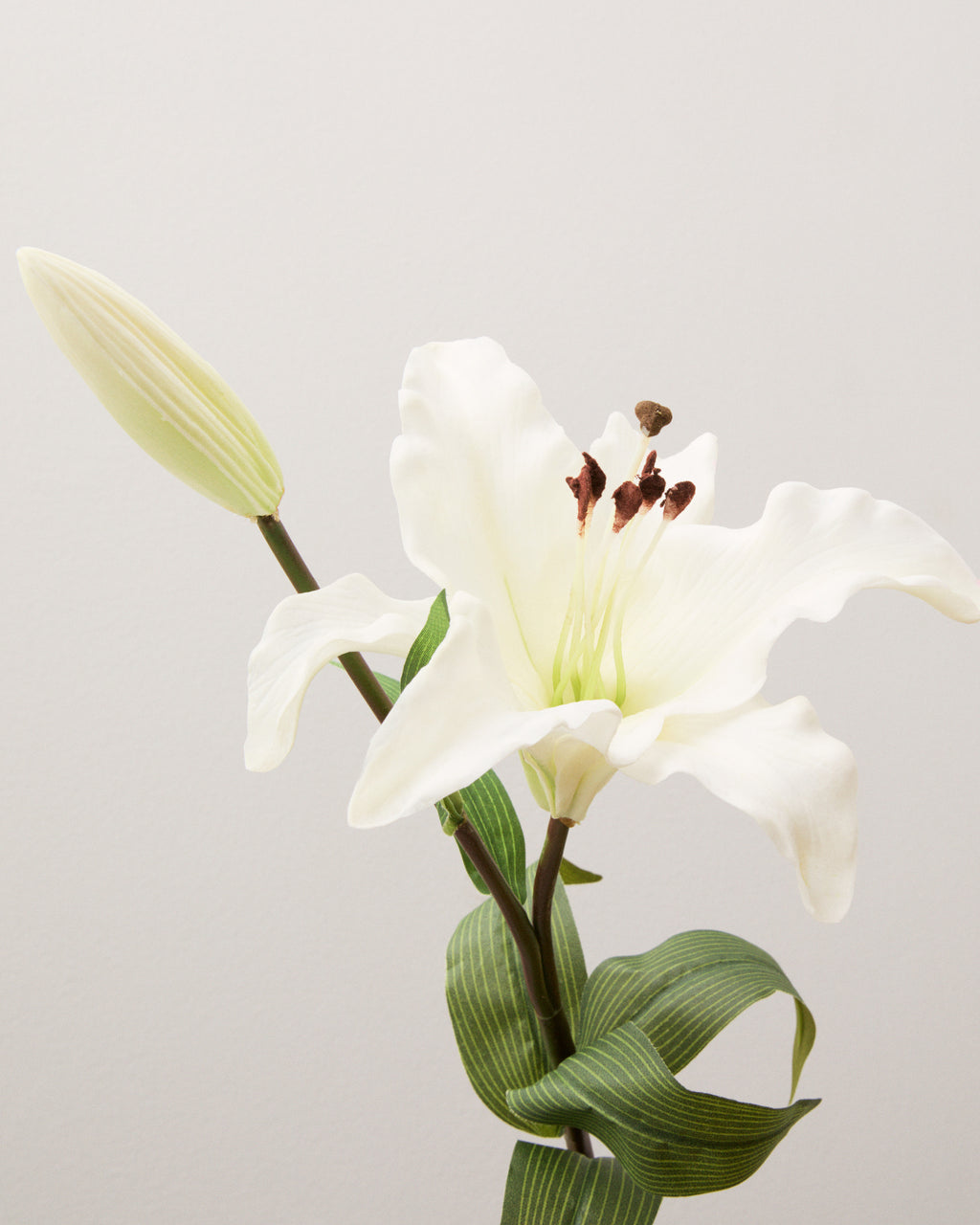 Närbild av konstgjord lilja med vågiga vita kronblad, ljusgrönt centrum, mörka ståndare och en avlång knopp intill blomman.
