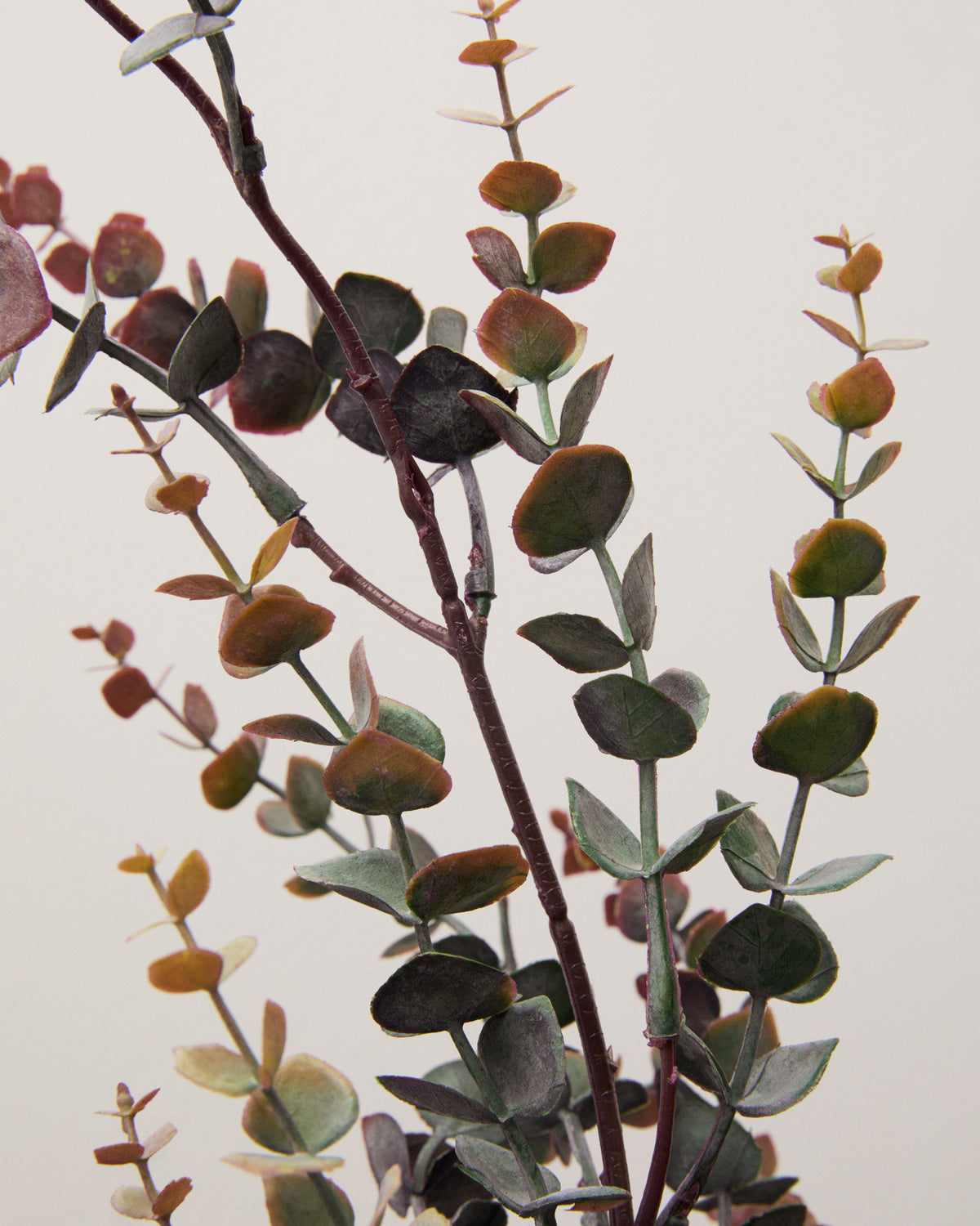 Närbild av konstgjord eukalyptus med små, rundade blad i plommonlila, vinröda och dämpat gröna toner längs mörka stjälkar.