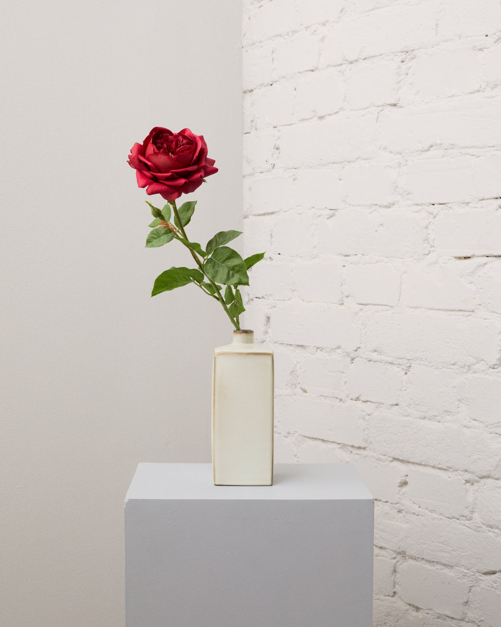 Konstgjord ros i rött med en stor, fyllig blomma och gröna blad i en smal, krämvit vas.