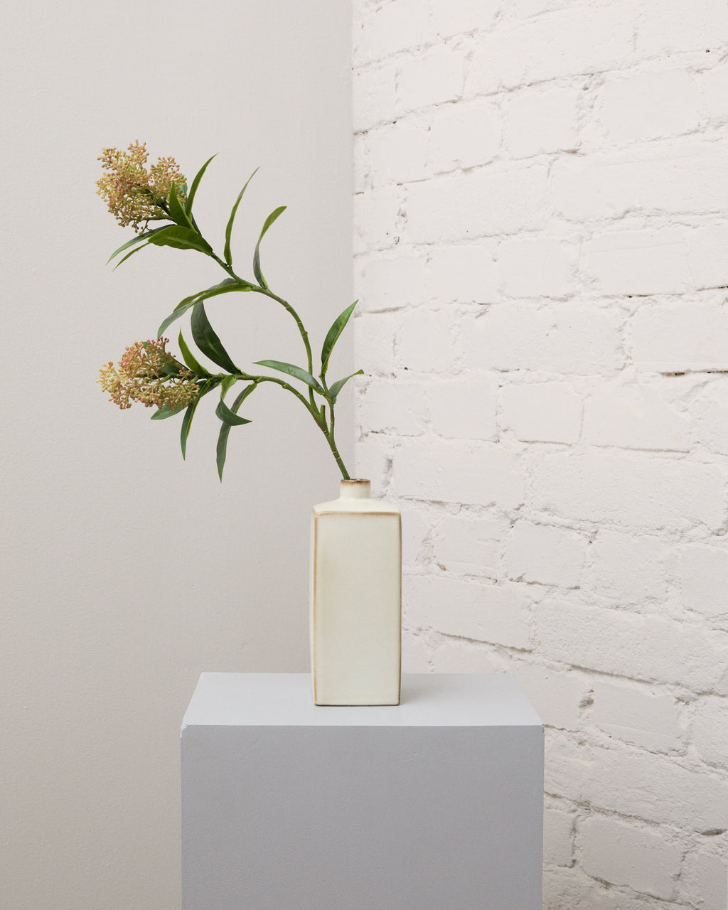 Konstgjord skimmia med två klasar av rödgröna knoppar och långsmala gröna blad på en böjd stjälk i en krämvit vas.