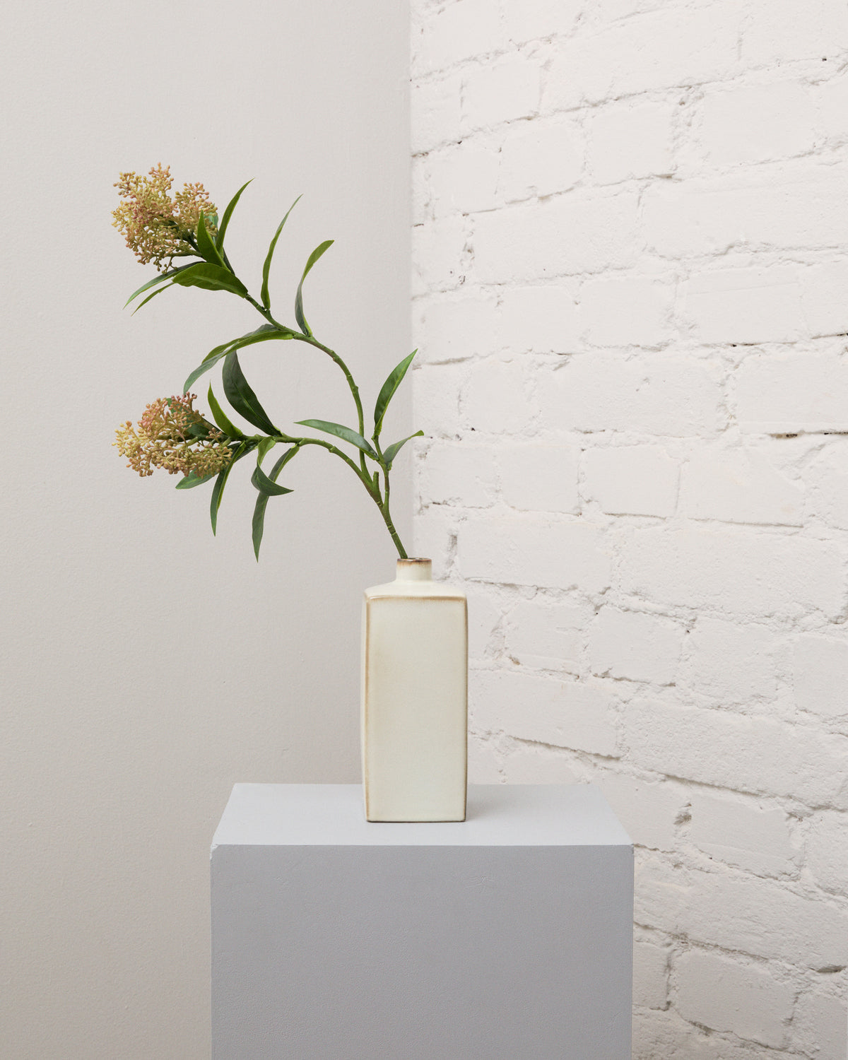 Konstgjord skimmia med två klasar av rödgröna knoppar och långsmala gröna blad på en böjd stjälk i en krämvit vas.