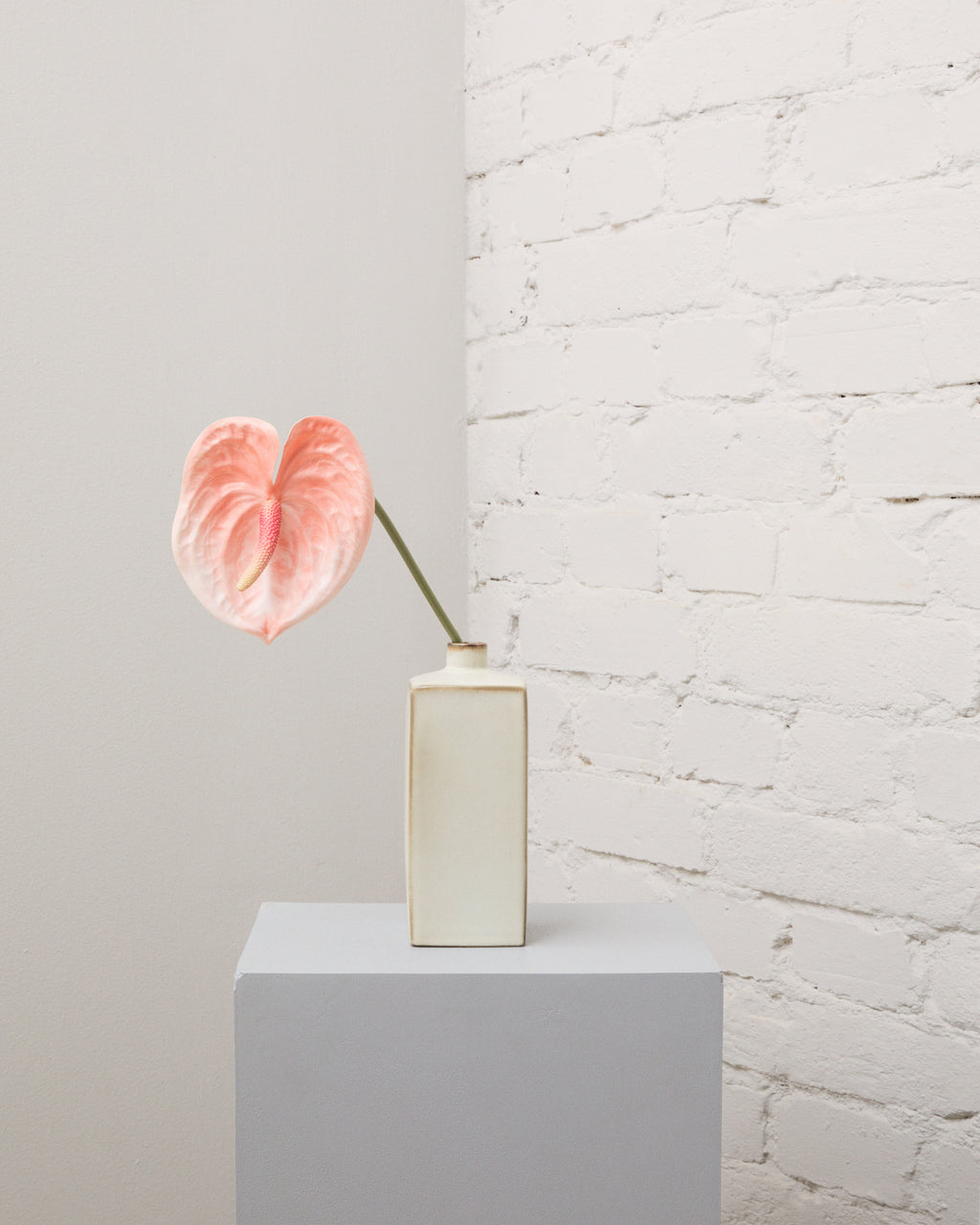Konstgjord anthurium i rosa med ett hjärtformat hölsterblad och en lång grön stjälk i en smal, krämvit vas.