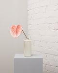 Konstgjord anthurium i rosa med ett hjärtformat hölsterblad och en lång grön stjälk i en smal, krämvit vas.