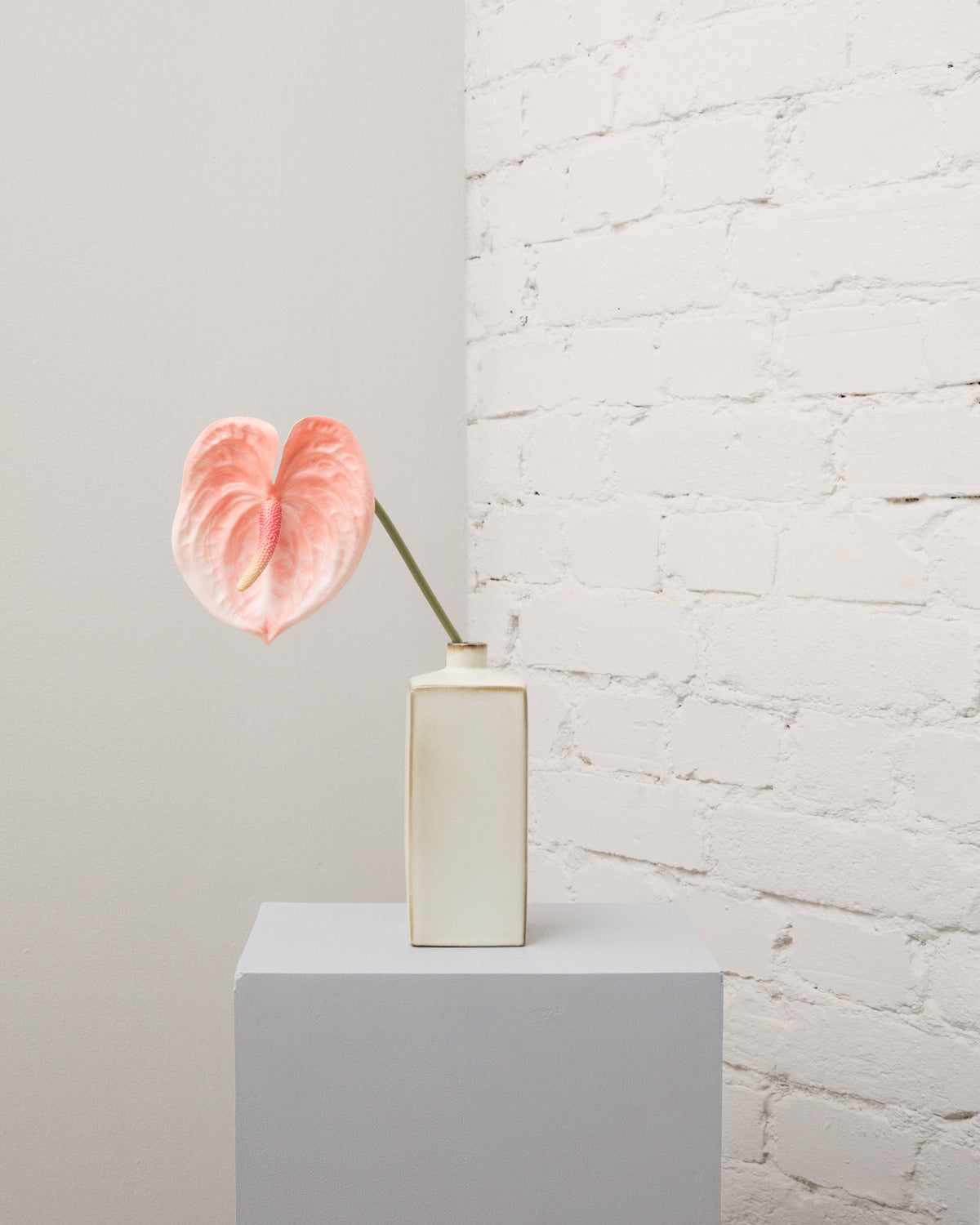 Konstgjord anthurium i rosa med ett hjärtformat hölsterblad och en lång grön stjälk i en smal, krämvit vas.