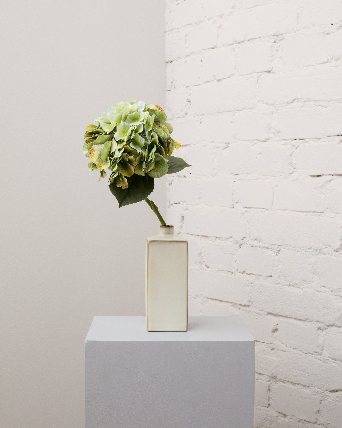 Konstgjord hortensia i vintagegrönt med ett fylligt blomhuvud och gröna blad i en smal, krämvit vas.