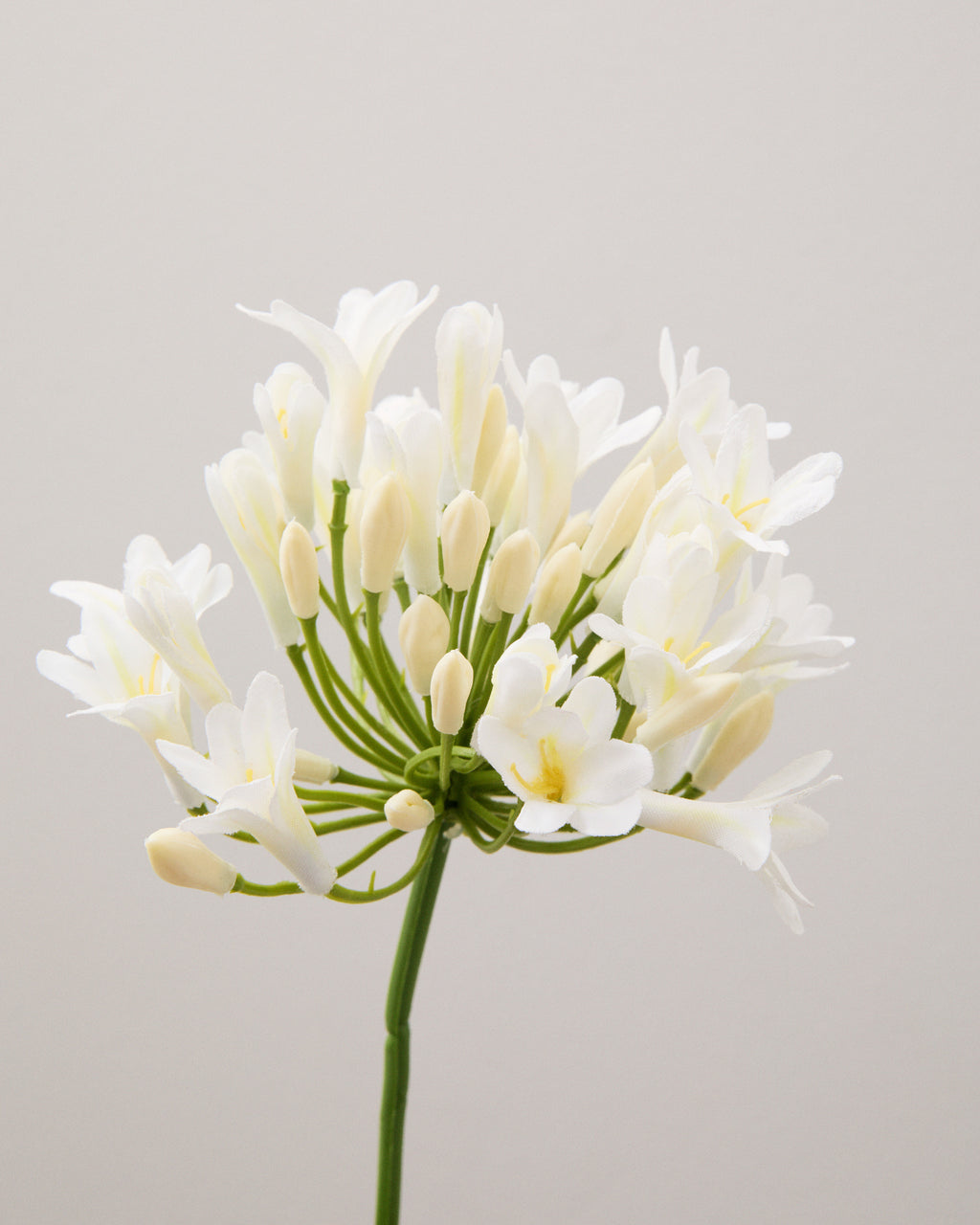 Närbild av konstgjord agapanthus med små, gräddvita blommor och knoppar på tunna gröna stjälkar i en rund blomklase.