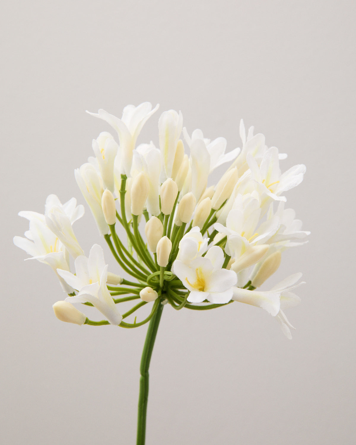 Närbild av konstgjord agapanthus med små, gräddvita blommor och knoppar på tunna gröna stjälkar i en rund blomklase.