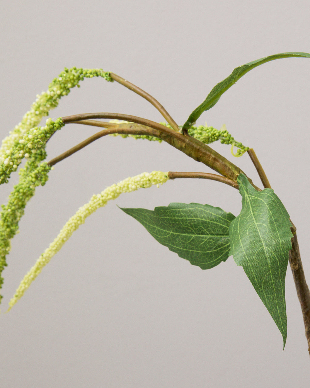 Närbild av konstgjord vit amaranthus med ljusa, svagt gröntonade blomspiror, böjda grenar och gröna blad.