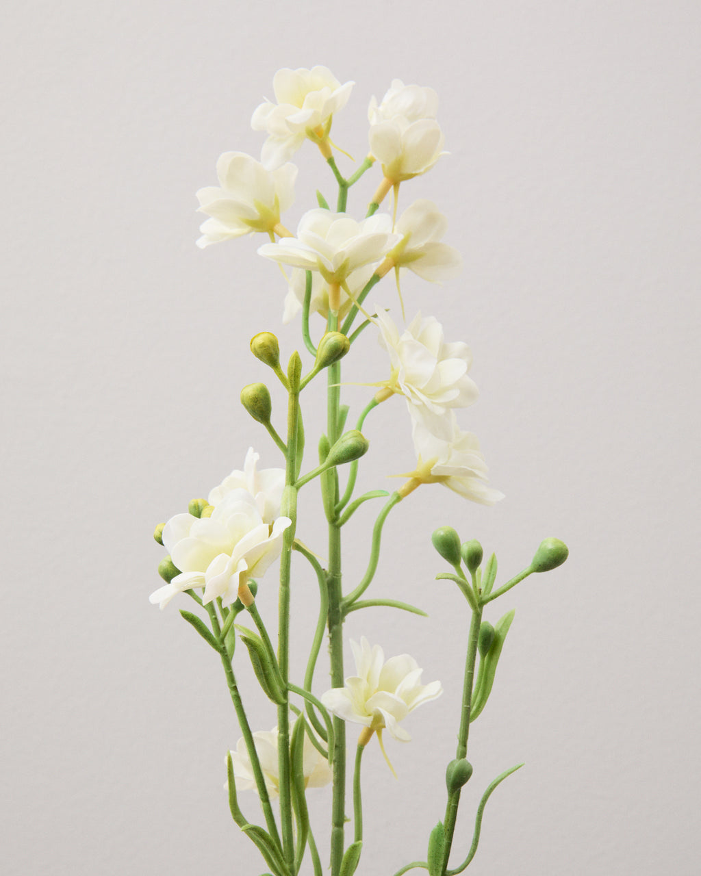 Närbild av konstgjord riddarsporre med små vita blommor och avlånga gröna knoppar längs smala, gröna stjälkar.