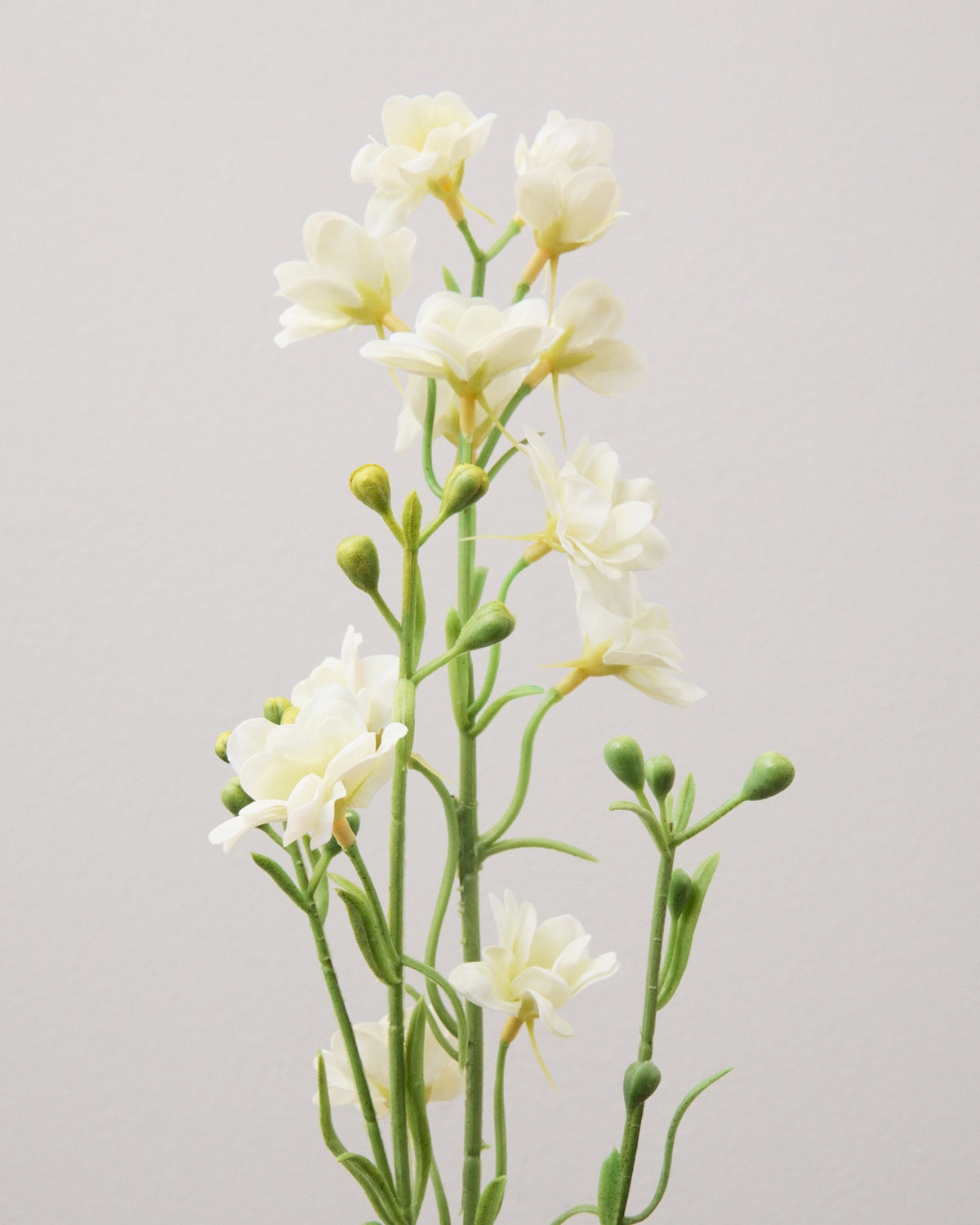 Närbild av konstgjord riddarsporre med små vita blommor och avlånga gröna knoppar längs smala, gröna stjälkar.