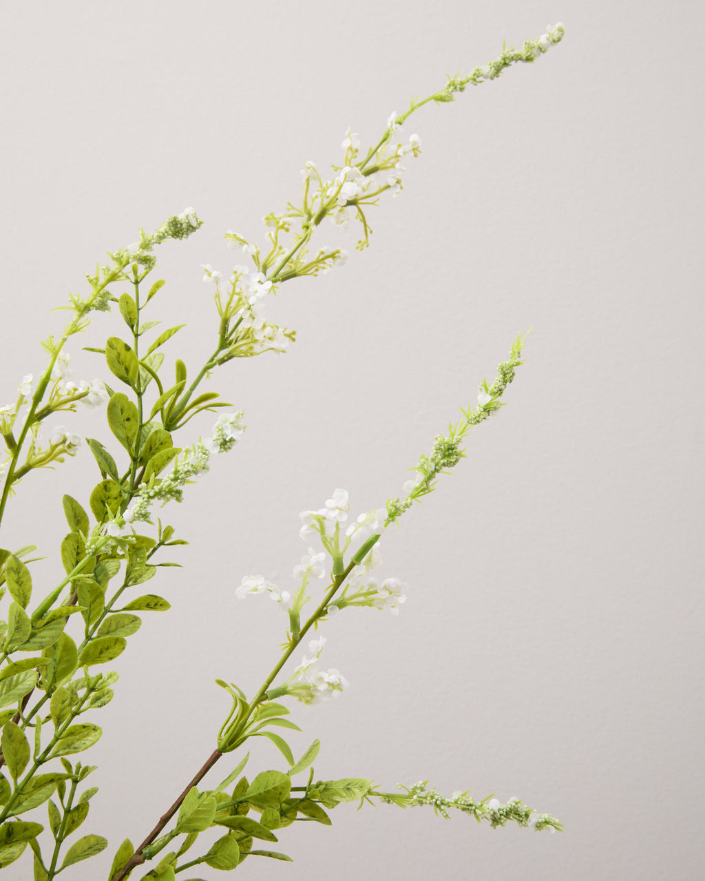 Närbild av konstgjord salvia med små vita blommor längs smala blomax och spetsiga gröna blad.