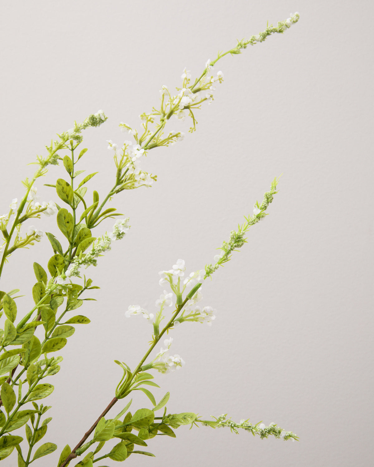 Närbild av konstgjord salvia med små vita blommor längs smala blomax och spetsiga gröna blad.